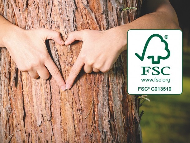 FSC_logo_teaser_méret