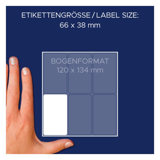 A képen egy kéz látható egy címkeméret diagram mellett, amely a 66 x 38 mm-es méreteket és a 120 x 134 mm-es lapformátumot jelzi.