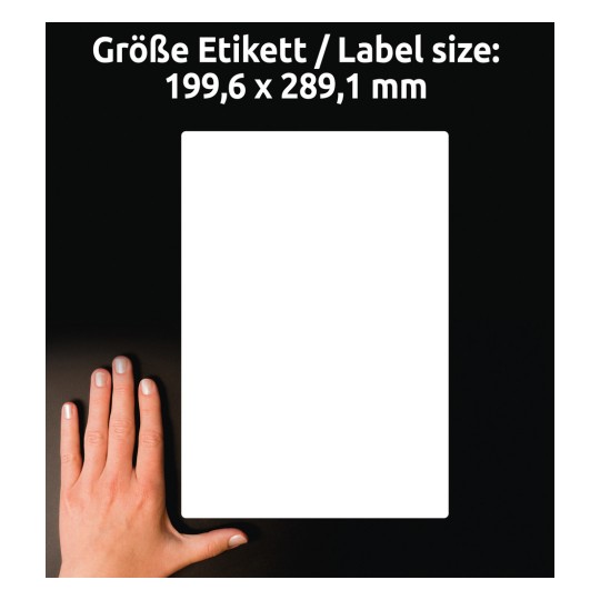 A kép egy kézzel tartott, üres címkét mutat, amelynek méretei 199,6 x 289,1 mm. A háttér sötét, kiemelve a címke méretét.