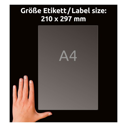 A kép egy A4-es papírlapot tartó kezet ábrázol, amelynek méretei 210 x 297 mm. A háttér fekete, ezáltal kiemelve a papírt és a kezet.