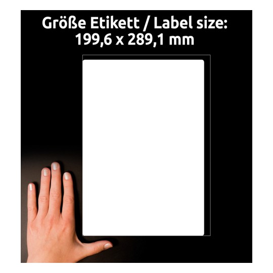 A kép egy kezet mutat, amely egy 199,6 x 289,1 mm méretű üres címkét tart sötét háttér előtt.