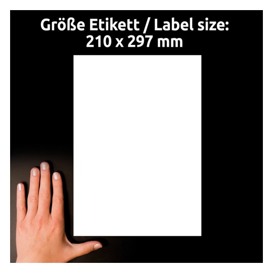 A kép egy kezét mutatja, amely egy fehér papírlapon nyugszik, 210 x 297 mm méretben feliratozva. A háttér fekete.