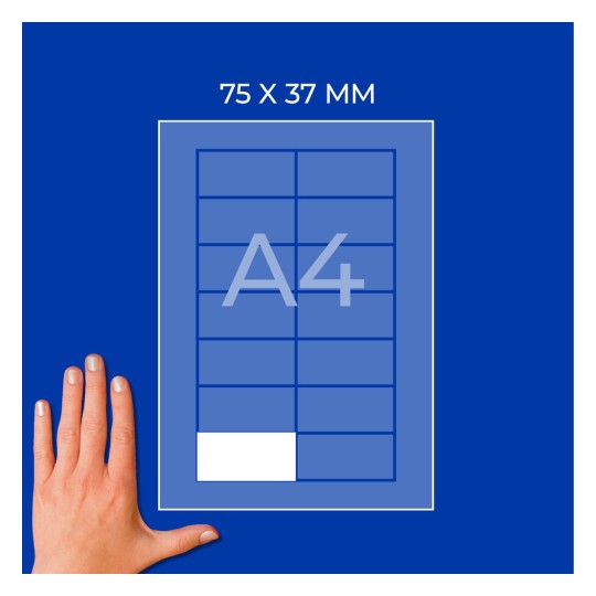 A4-es lap diagramja 75 × 37 mm-es címkével és egy kézzel a bal alsó sarokban?
