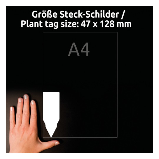 A képen egy kéz látható egy üres növénycímke mellett, amelynek méretei 47 x 128 mm, és A4-ként van jelölve.