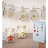 56823 4004182568231 Z-Design Weihnacht Glaeser 56823+24 anw