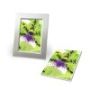 C2552-50 4004182244173 Papier Foto Premium 250g Matt anw
