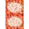 Háztartási matricák 59397 76 x 120 mm